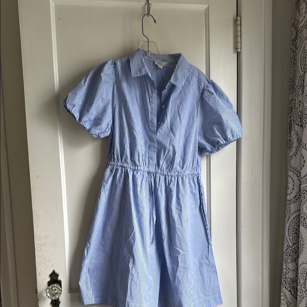 J. Crew Blue Puff Sleeve A-Line Dress